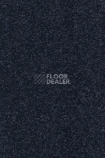 Ковролин AW Vivendi Punch 78 фото 1 | FLOORDEALER